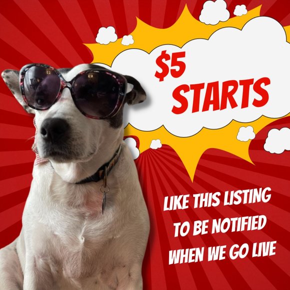 Like This Listing to Be Notified When We Go Live! $5 Starts - Picture 1 of 2